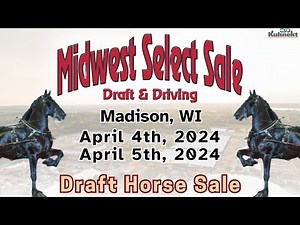 Draft Horse Sale - 2024 Midwest Select Draft & Driving Horse Sale