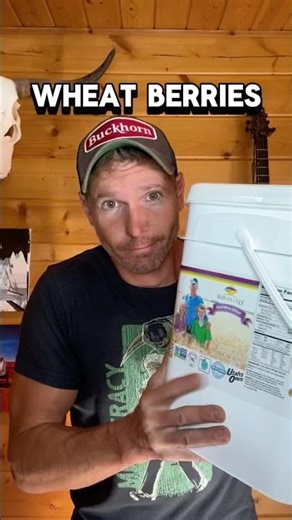 Every Prepper Should Store Wheat Berries Long Term (25+ Year Shelf Life)