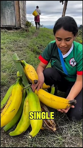 The Largest Banana on Earth 🍌