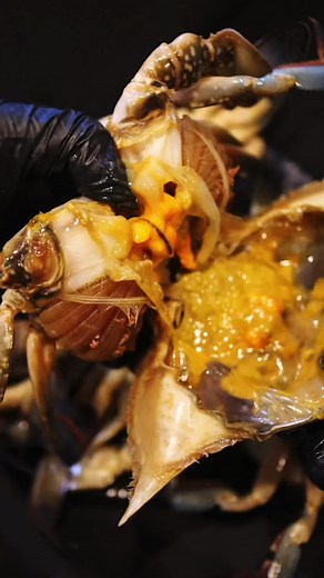 日間賀島の新鮮ワタリガニ料理