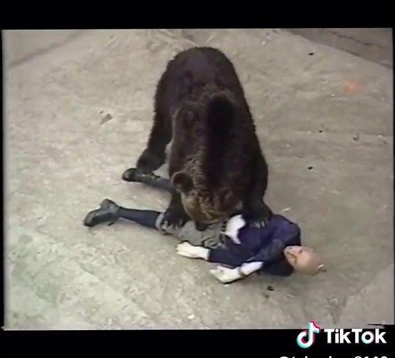 北海道での熊の被害対策と恐怖映像