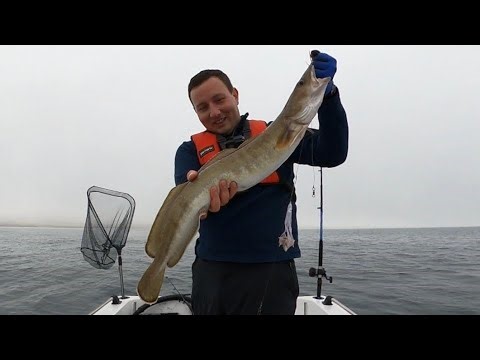 Scottish Ling, Cod & Mackerel Fishing | Dunbar Harbour | Ding a Ling at Dunbar