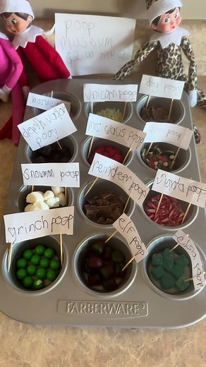 Elf poop museum 🤪 #elf #elfontheshelf #elfontheshelfideas #ideas #christmas #holiday #christmastime #christmasidea #elfmagicact #poopmuseum #funny #funnyideas #kids #momsoftiktok #relateable