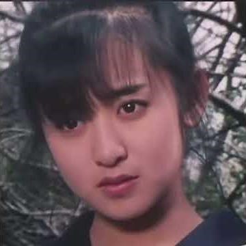 スケバン刑事、斉藤由貴