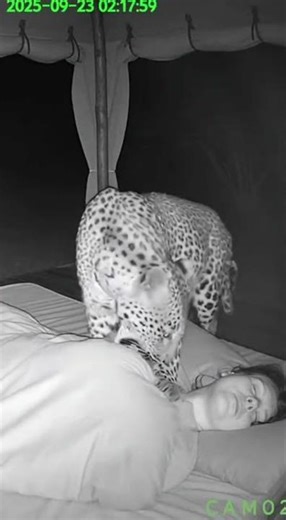 Sleepy Buddies Snoring Together - Send to a Friend!