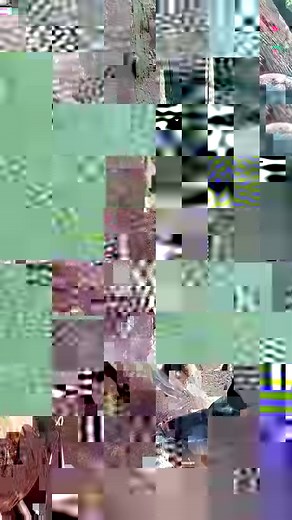 The Tata Somba, also known as "Tata Tamberma" in Togo, are traditional fortified dwellings of the Somba people in northern Benin. These unique structures are not only functional homes but also cultural symbols that reflect the Somba's way of life, beliefs, and environment. #slowlylive #akumbele | Quim Fàbregas