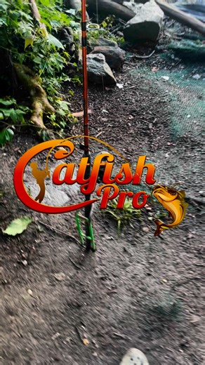 3K views · 47 reactions | Check out this catfish HookedUpFishing on TikTok caught using our Catfish Pro Fishing for Fun Spinning Reel! Get yours today at catfishpro.com! #catfishing #spinningreel | Catfish PRO | Facebook