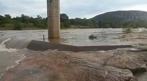 This is the current flow at the confluence of Mucheke and Rusape rivers downstream of Rusape Dam. The flow has been as high as 91 cubic meters per second as the Save Catchment Area continues to receive more rain 📹 Zimbabwe National Water Authority Ministry of Lands, Agriculture, Fisheries, Water and Rural Development Zim | Manica Post Zimpapers