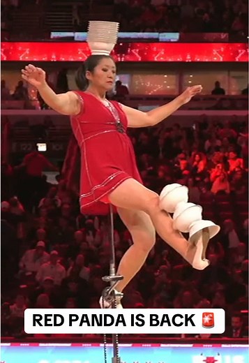 Red Panda's NBA Comeback After Injury