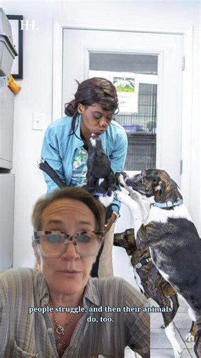 Shelters in Kentucky face crowding and vet shortages, leaving rescue groups scrambling to care for dogs and find adoptive homes. #kentucky #animalshelter #kyanimalshelter #kentuckyanimals | Kentucky.com
