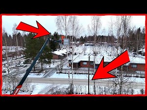 Tree Removal Challenges: Taking Down the Unmovable!