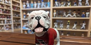 How to pre-order a bobblehead honoring Bulldogs’ late mascot Uga X