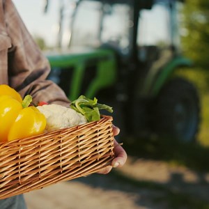 179K views · 239 reactions | Indulge in the goodness of Indian Organic Products, grown without harmful chemicals. Nourish your body and protect our planet. Ministry of Agriculture & Farmer’s Welfare, Government of India Department of Commerce, GoI Agricultural and Processed Food Products Export Development Authority #IndianOrganicProducts #DepartmentOfCommerce #APEDA #BrandIndia #DiscoverIndia | IBEF | Facebook