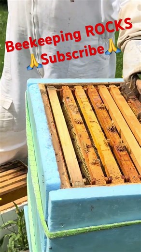 Cleaning Up Propolis So the Frames Slide Properly 🐝 Hive Maintenance