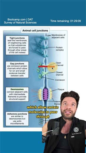 DAT QUESTION OF THE DAY #DAT #predental