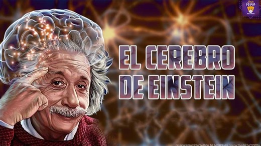 ¿Por qué Albert Einstein era tan inteligente? - UNAM Global