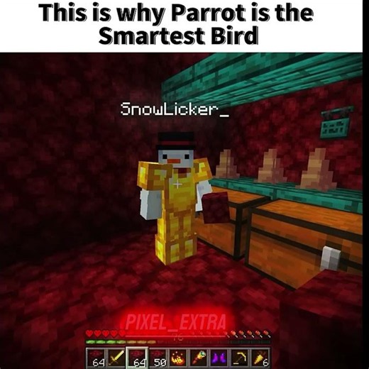 Why ParrotX2 is the most dangerous player | Unstable SMP