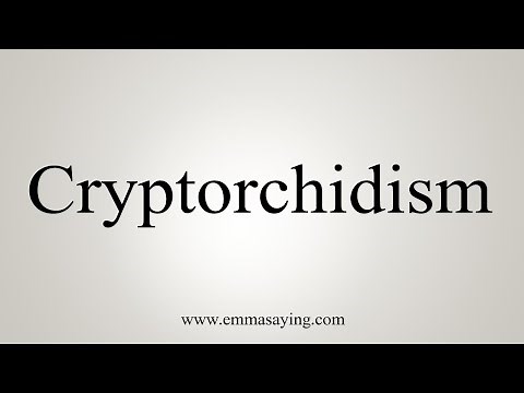 How To Say Cryptorchidism