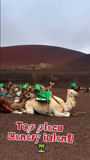 Lanzarote 🏝️ - Spain's Volcanic Paradise of Endless Summer