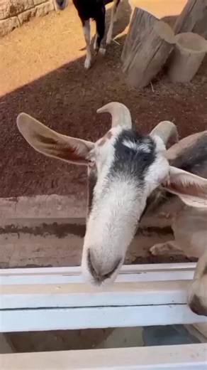 2.8K views · 338 reactions | ¡El mejor ambiente familiar en la Ciudad...