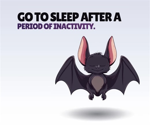 REACTIVE STREAM PET - Bat - Twitch Widget - Hd Files - Instant Download - Setup With Streamelements // Compatible With Obs - Etsy