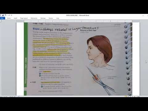 Integumentary CPT part 1