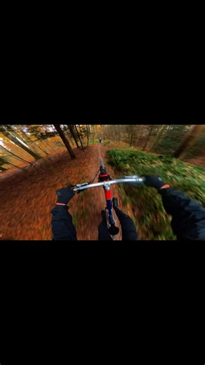 Gopro hero 13 #fyp #mtb #viral #trail #pov #downhill #mountainbike #bike #gopro