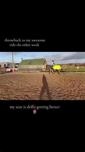 cookieeeee #horse #horseriding #horsesoftiktok #viral #fyp