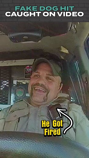 625K views · 15K reactions | LAWSUIT: Fake Dog Hit Caught on Video *Update* | John H. Bryan, Attorney at Law | Facebook