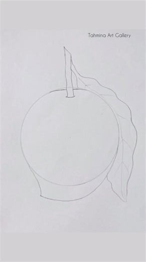 21K views · 196 reactions | Mango drawing ideas 省 #art #creative #satisfying #shorts #viral #painting #reels #drawing #art #artist #howtodraw #draw #mango #summer #love #fbreels #pencildrawing #pencilsketch #pencil | Tahmina Art Gallery | Facebook