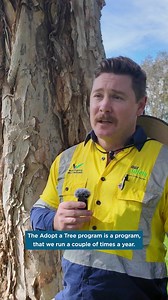 6.9K views · 83 reactions |  Adopt a Tree this Spring! Want a street...