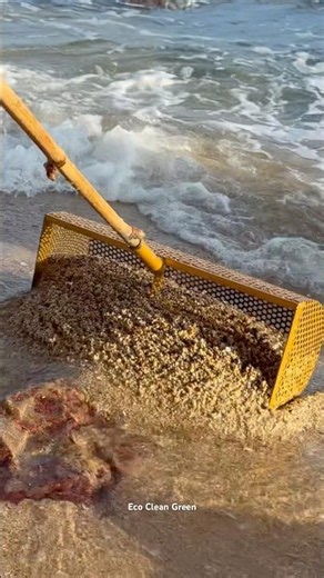 Did someone drop their lucky golden horse necklace in the ocean? 🧐