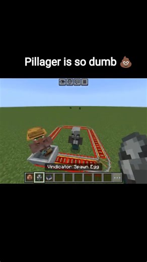Pillager is so dumb 💩