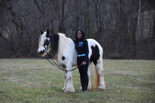 Horses 101 (Fun Facts, Breeds, Cost, Care, Riding, Etc.) - Horse Rookie