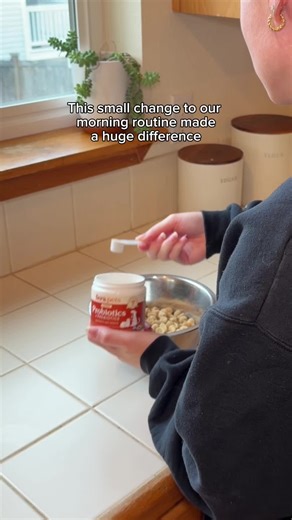 Improve Your Dog's Digestion Naturally