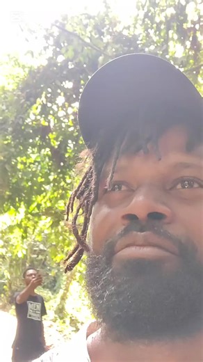 Exploring Nature Walks in Fiji