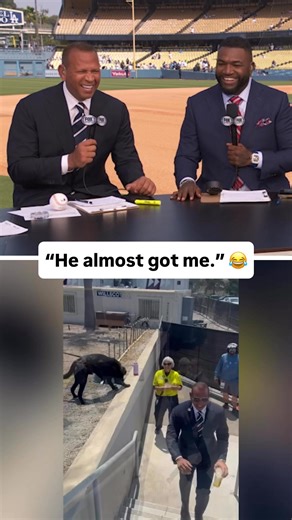 91K views · 459 reactions | Earlier today, A-Rod tried to befriend a security dog... it didn’t go so well  | MLB on FOX | Facebook