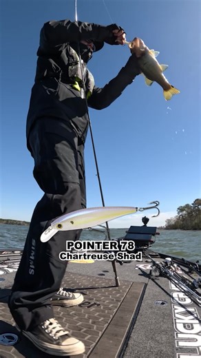 The original Pointer Series has a lively, powerful action with a side-to-side slide. It silently enters the target and attacks unwary bass. The POINTER will suspend 4 - 5 feet deep and will emit an intriguing bass-calling vibration, while in the suspended state. The low center of balance causes the lure to wobble and vibrate whenever the retrieve is paused. This rolling action stimulates the fish's lateral line, triggering an instinctive biting response and prompting strikes even during non-feed