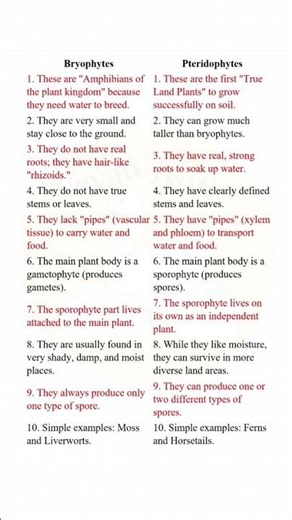 Bryophytes vs Pteridophytes//Defference//class 11 biology//10 points #shorts