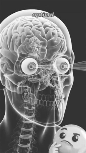 Working of the Human Eye