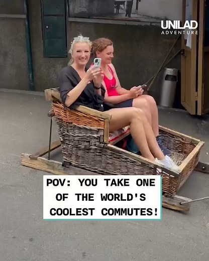 188K views · 630 reactions | This toboggan ride in Madeira is one of the world's coolest commutes  | UNILAD Adventure | Facebook