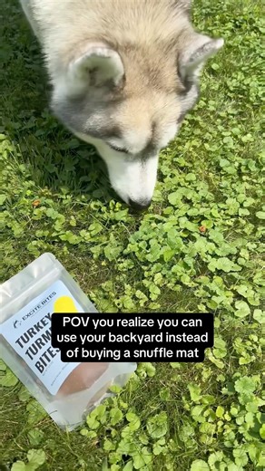 POV You Realize You Can Use Your Backyard as a Snuffle Mat