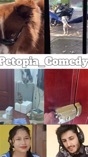 Animals Talking Like Humans 😍Pt-286 | Funny Animal Voice Over #cowsho #funnyanimals #animalcomedy