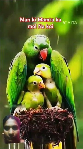 Khushiyan deti hai dukh le leti hai man ke Mamta ka mol Na koi