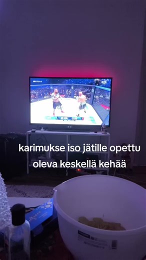 Ice Cage Fighting Techniques and Insights