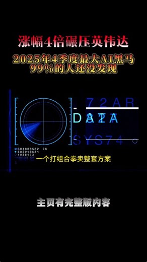 存储芯片黑马，涨幅4倍碾压英伟达！99%的投资者把它忽视了，2025年4季度最大AI黑马？NVDA，TSLA，TSM，AAPL、MU，WDC，STX，ORCL，AMD，#美股 #财经 #美股分析