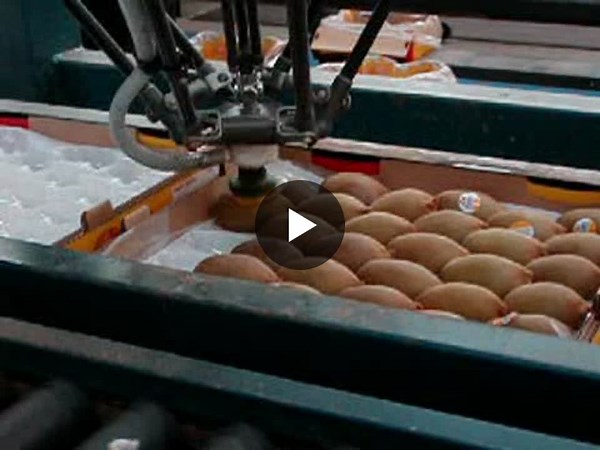#deltarobot #foodautomation #smartmanufacturing #packagingline #freshproduce | Mora Shao
