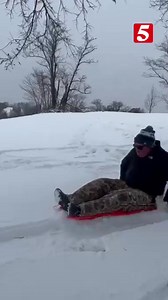 13K views · 380 reactions | Our Chris Davis NewsChannel 5 is living it up before he has to come in to work. He's sledding out in Hermitage. Where are your favorite spots to slide down on your sled in Middle Tennessee? Tell us in the comments. | NewsChannel 5 Nashville | Facebook