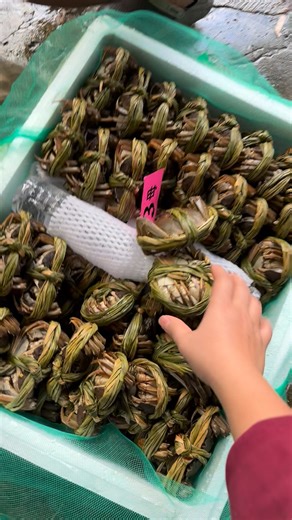 Seafood Online Shops on Reels