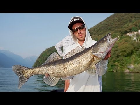 I LUCIOPERCA del Lago di LUGANO - Pelagic Fishing in Lugano Lake